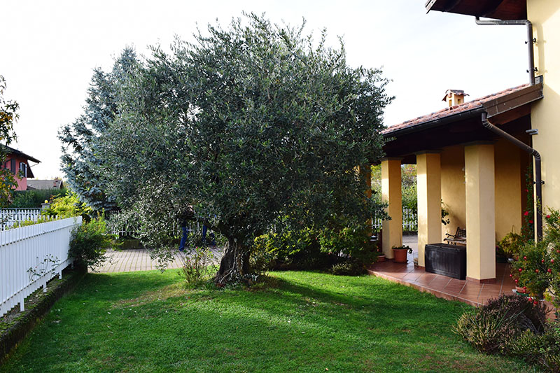 Manutenzione Giardini Biella-3